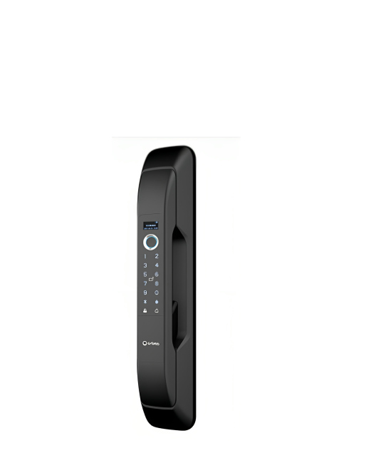 P8030 Fully automatic smart lock